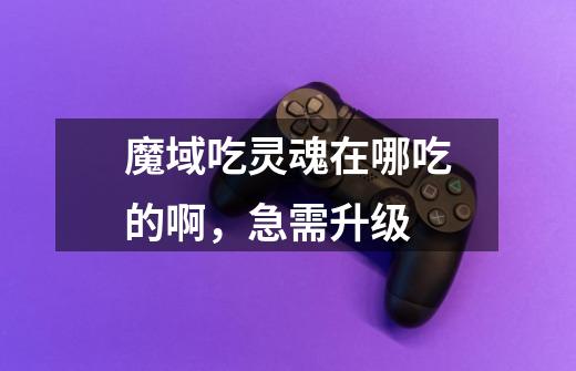 魔域吃灵魂在哪吃的啊，急需升级-第1张-游戏信息-龙启网