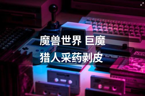 魔兽世界 巨魔猎人采药剥皮-第1张-游戏信息-龙启网