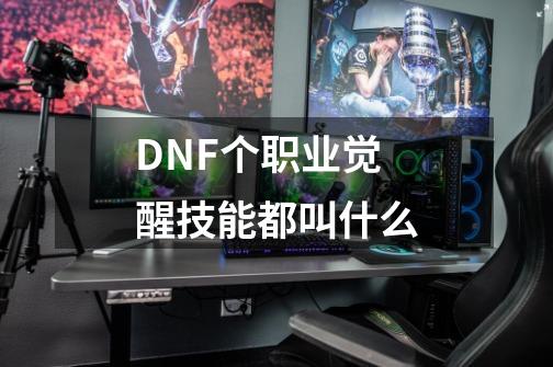 DNF个职业觉醒技能都叫什么-第1张-游戏信息-龙启网