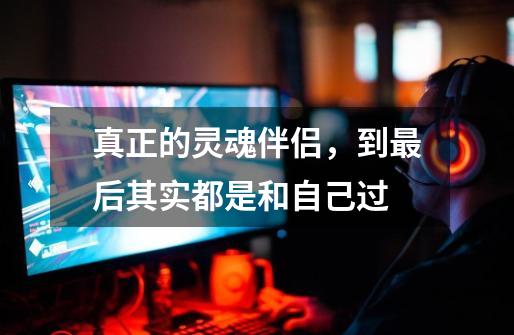 真正的灵魂伴侣,到最后其实都是和自己过-第1张-游戏信息-龙启网