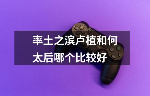 率土之滨卢植和何太后哪个比较好-第1张-游戏信息-龙启网