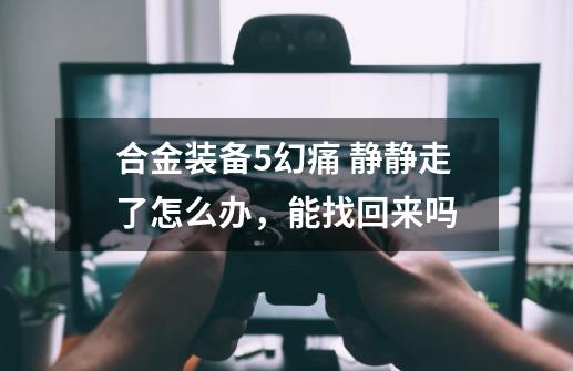 合金装备5幻痛 静静走了怎么办,能找回来吗-第1张-游戏信息-龙启网