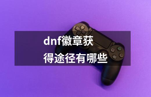 dnf徽章获得途径有哪些-第1张-游戏信息-龙启网