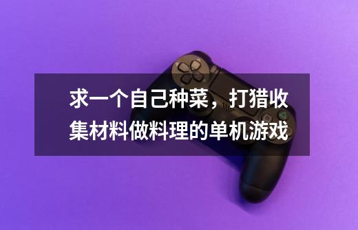 求一个自己种菜，打猎收集材料做料理的单机游戏-第1张-游戏信息-龙启网