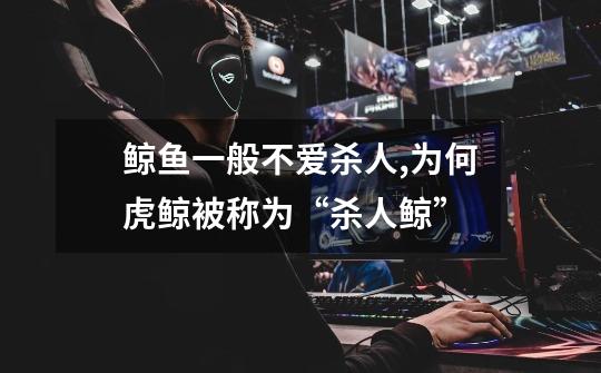 鲸鱼一般不爱杀人,为何虎鲸被称为“杀人鲸”-第1张-游戏信息-龙启网