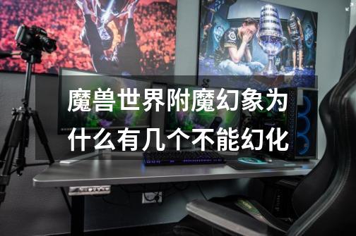 魔兽世界附魔幻象为什么有几个不能幻化-第1张-游戏信息-龙启网