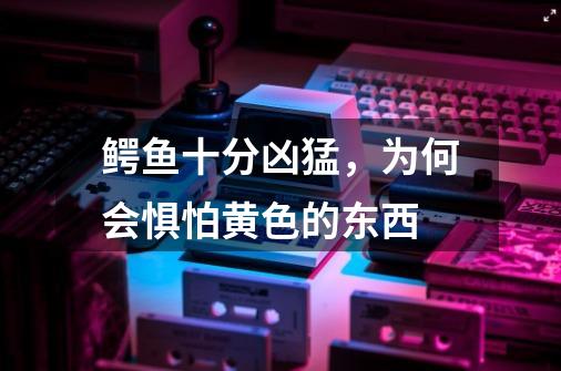 鳄鱼十分凶猛,为何会惧怕黄色的东西-第1张-游戏信息-龙启网