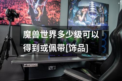 魔兽世界多少级可以得到或佩带[饰品]-第1张-游戏信息-龙启网