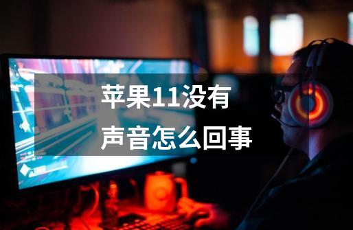 苹果11没有声音怎么回事-第1张-游戏信息-龙启网