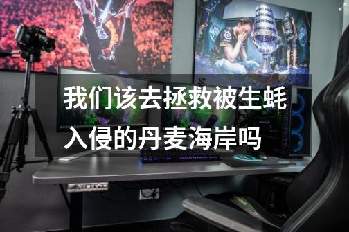我们该去拯救被生蚝入侵的丹麦海岸吗-第1张-游戏信息-龙启网