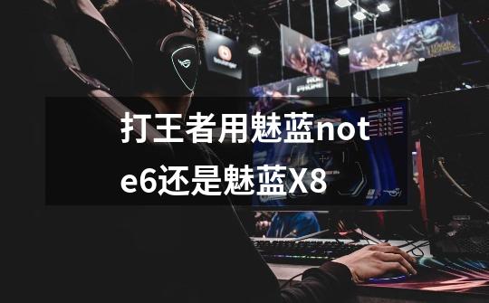 打王者用魅蓝note6还是魅蓝X8-第1张-游戏信息-龙启网