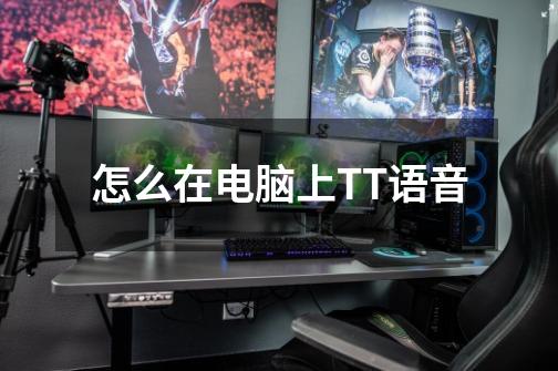 怎么在电脑上TT语音-第1张-游戏信息-龙启网