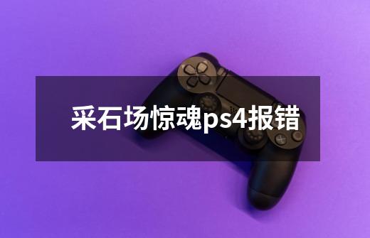 采石场惊魂ps4报错-第1张-游戏信息-龙启网